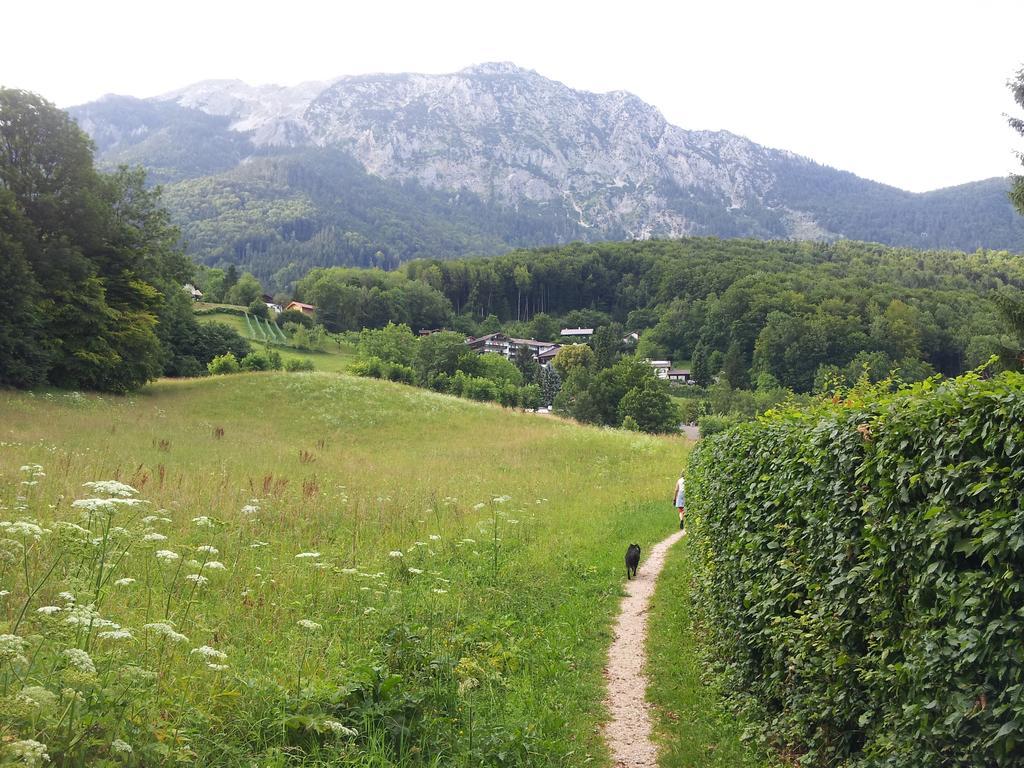Pension Schwarzenbach Bad Reichenhall Exteriör bild