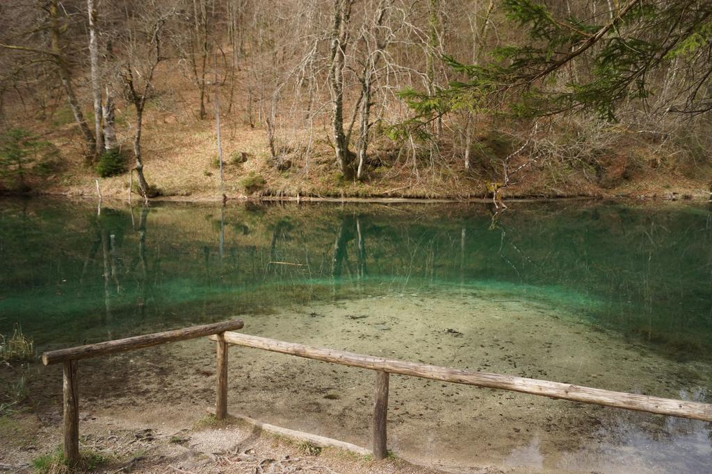 Pension Schwarzenbach Bad Reichenhall Exteriör bild